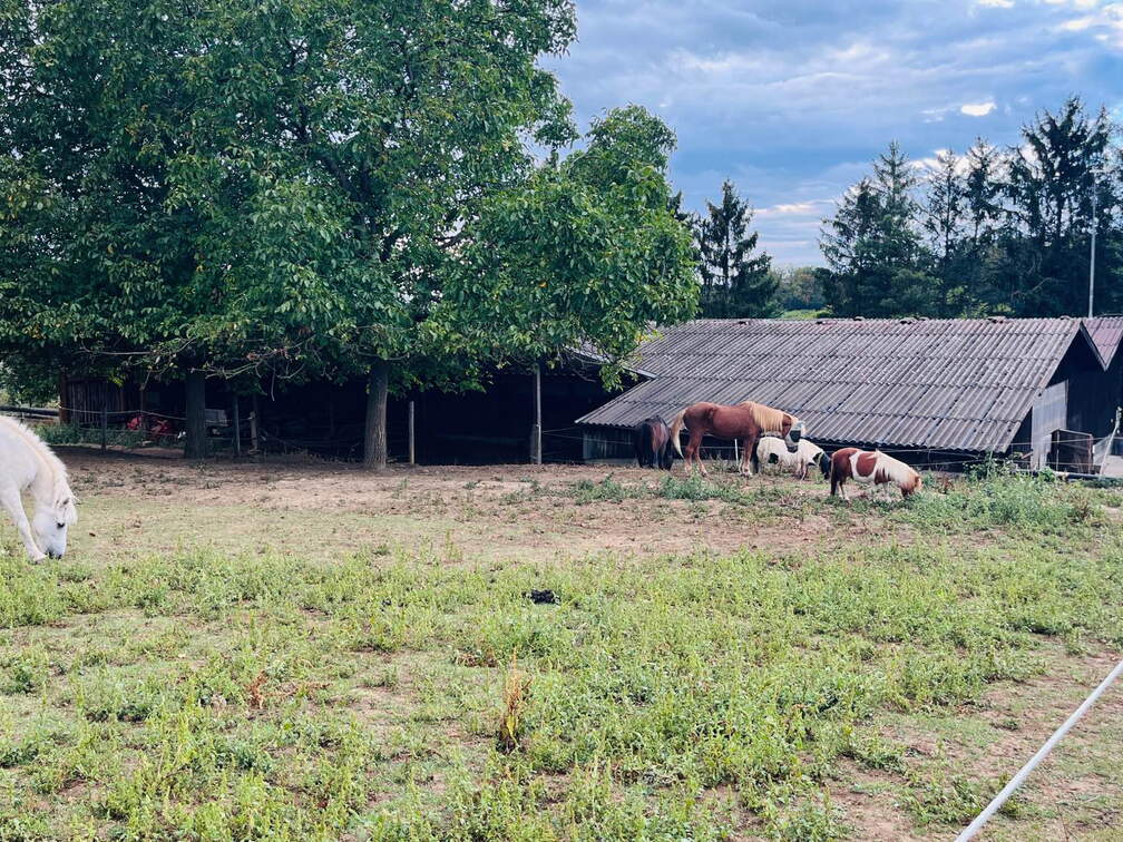 22-09-10 17-55-45 1970